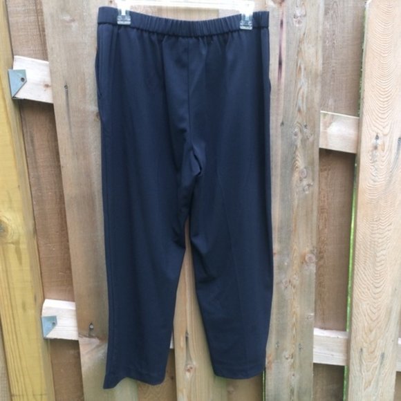 Navy Blue Stretch Pants - Petite Size 10 - Picture 2 of 7